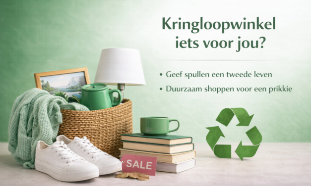 Kringloopwinkel iets voor jou?